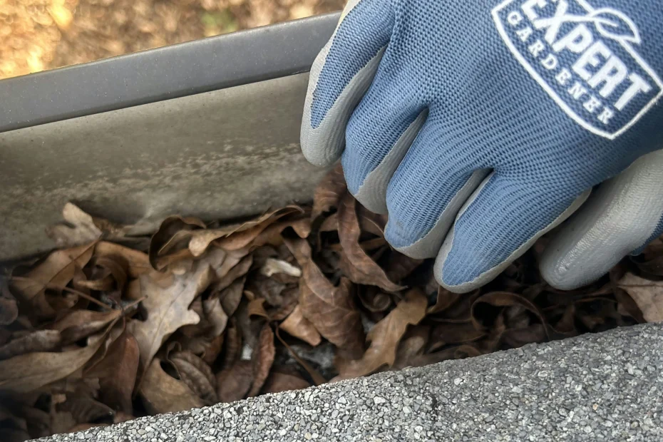 Gutter Cleaning North Port FL