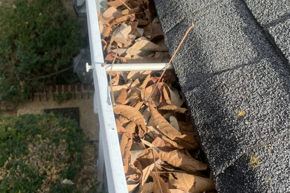 Gutter Cleaning North Port FL